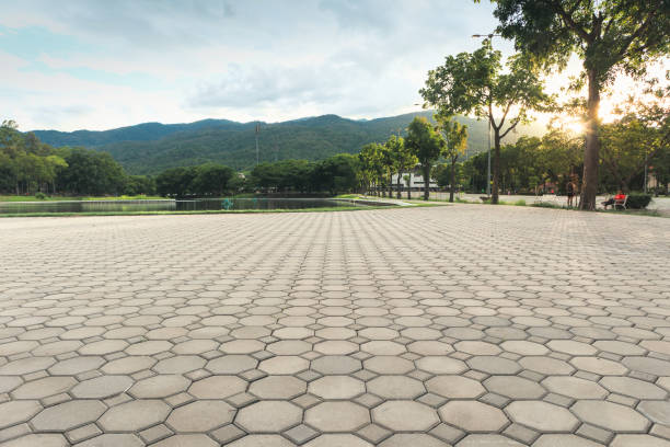 Best Custom Driveway Pavers  in Richton Park, IL