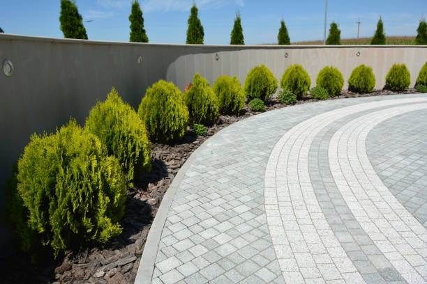 Reasons to Select Us for Your Driveway Paving Requirements in Richton Park, IL